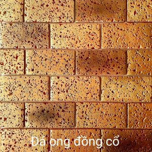da-ong-dong-co