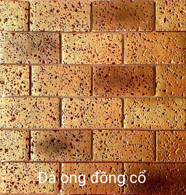 da-ong-dong-co