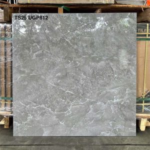 TS25 UGP812