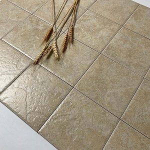 Gạch thẻ 15x15cm IN151501 6 IN151501 3