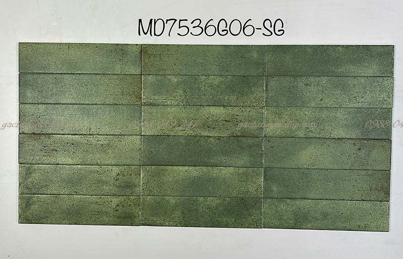 MD7536G06-SG MD7536G06-SG