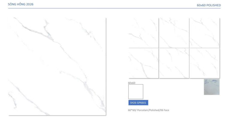 Gạch 60x60 Viglacera SH26 GP6601 4 SH26 GP6601